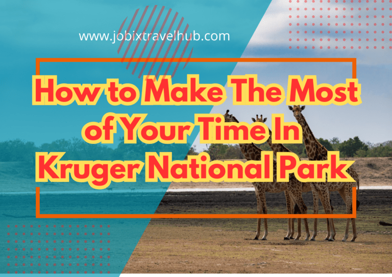 How to Make The Most of Your Time In Kruger National Park